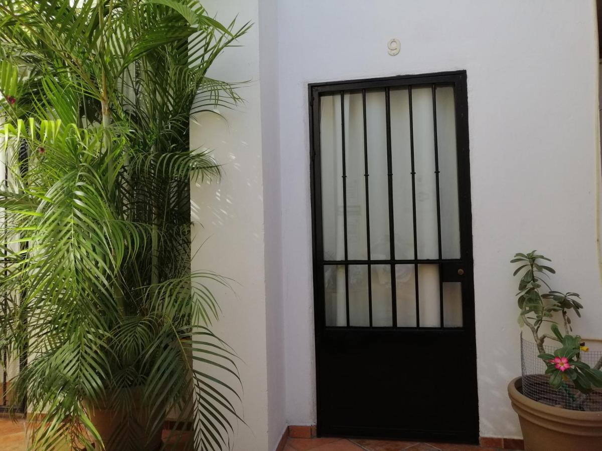 Casa Adriana VIP Backpackers Hostel Puerto Vallarta Bagian luar foto